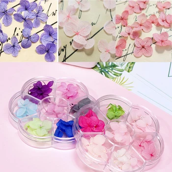 1 Box 35 ks Sušené Kvety, Dekorácie Nechtov Zmiešané Konzervované Kvet s v Tvare Srdca Box DIY Manikúra 3D Nail Art, Ozdoby
