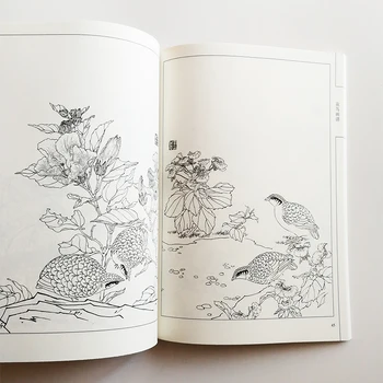94Pages Kvety a Vtáky Maľovanie Zbierku Umenia Kniha Sfarbenie Knihy pre Dospelých Relax a Anti-Stres Maľovanie Knihy 4
