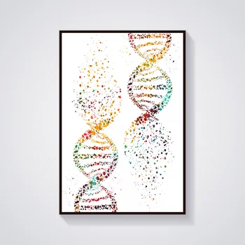 Dna double helix DNA helix konformácie DNA Stromu Double helix Oblúk Ženské svaly Anatomický Lekárske Vedy A plátno Plagát 1